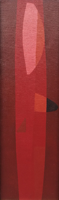 Janikowski Geometra 800