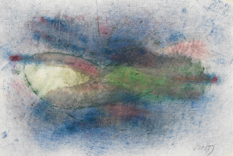 Janikowski frotaz1 800